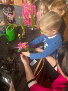 Chłopiec wsadza kwiatka do doniczki
